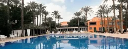 Piscina exterior Hotel Las Palmeras