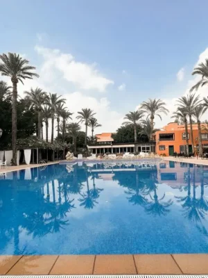 Piscina exterior Hotel Las Palmeras